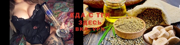 дживик Бородино