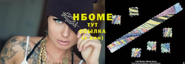 дживик Бородино