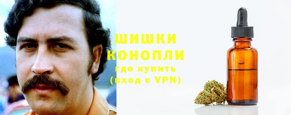дживик Бородино