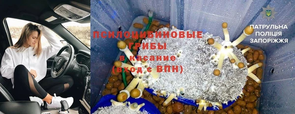 дживик Бородино