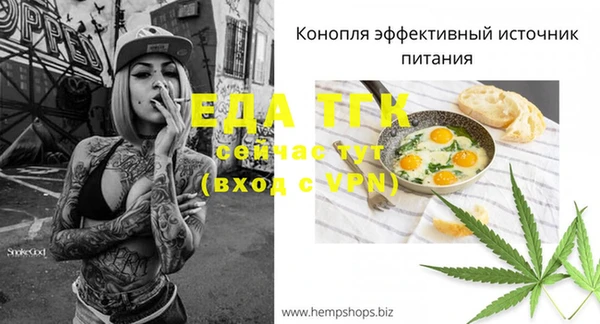 дживик Бородино
