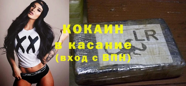 дживик Бородино