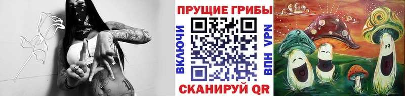 Псилоцибиновые грибы ЛСД Волоколамск