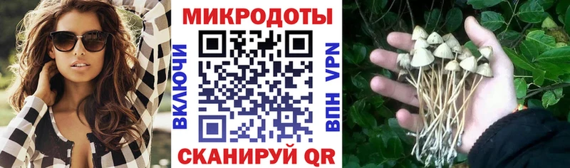 Псилоцибиновые грибы Cubensis мега рабочий сайт Волоколамск